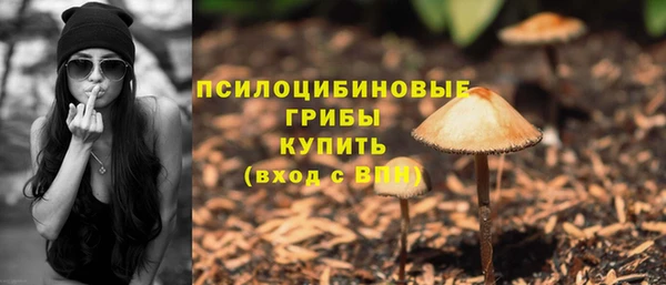 прущий лед Армянск
