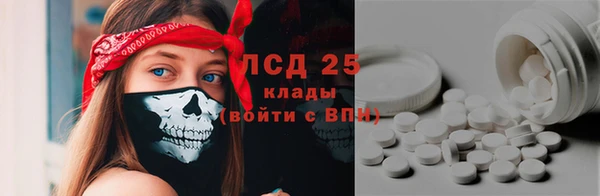 apvp Аркадак