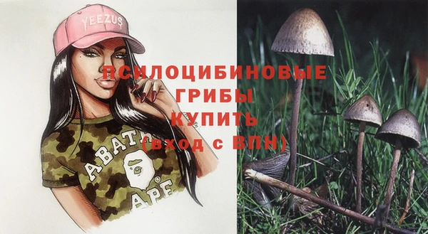 apvp Аркадак